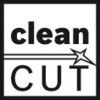 T101 BR Clean for Wood Jigsaw Blades - 2 608 630 014 Pk-5 thumbnail-2