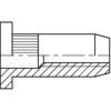 M4 STEEL LARGE HEAD KNURLED RIVET NUT (BOX-500) thumbnail-0