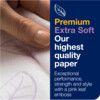 100297 Premium Interfold Hand Towel 2ply (PK-21) thumbnail-4