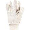 General Handling Gloves, White, Leather Coating, Cotton Liner, Size 8 thumbnail-2