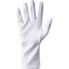 General Handling Gloves, White, Uncoated Coating, Interlock Cotton Liner, Size 8 thumbnail-2
